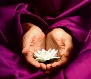 manos con flor