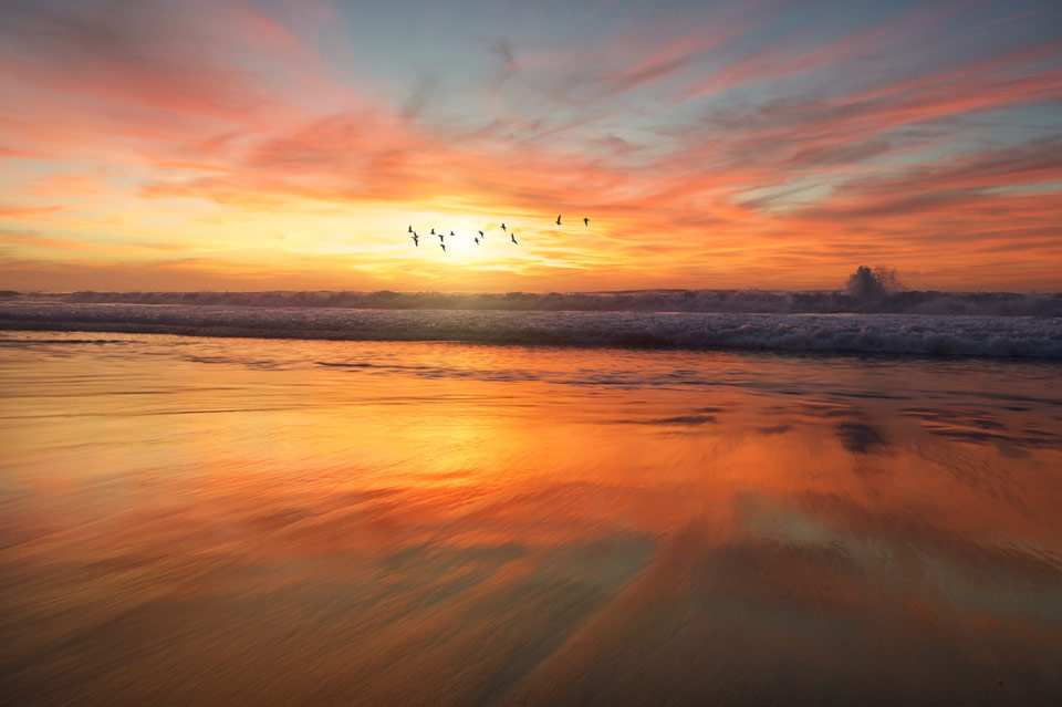 Amazing beach nature