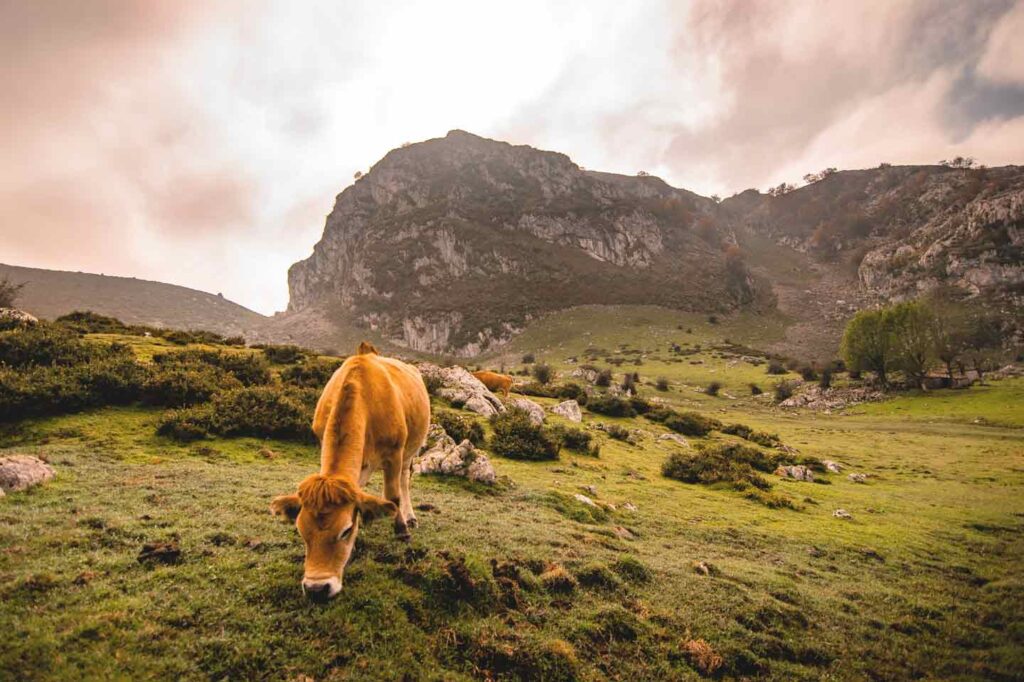 Romantic escapes in Asturias on Airbnb